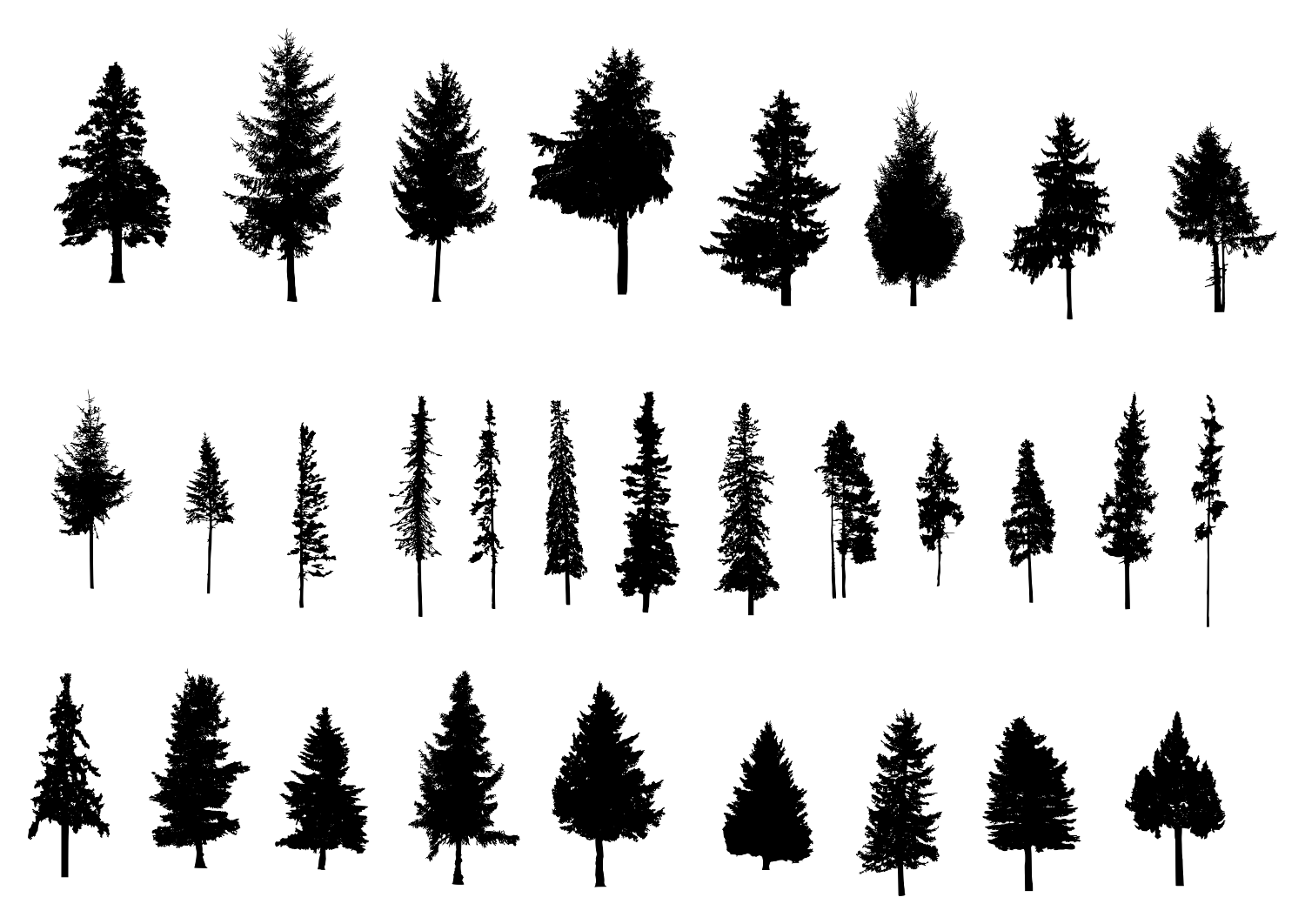 30 Pine Tree Silhouette (PNG Transparent) Vol. 2 | OnlyGFX.com