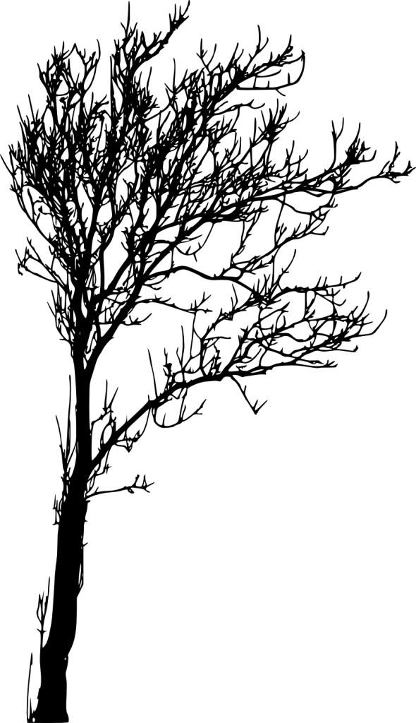 18 Bare Tree Silhouette (PNG Transparent) Vol. 2 | OnlyGFX.com