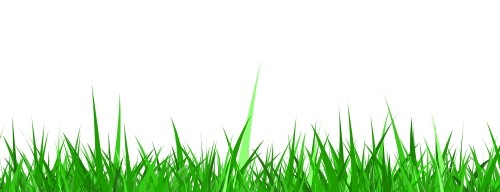 Download grass png pic png images background  TOPpng