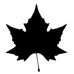 Leaf Vector 2 (SVG, PNG)