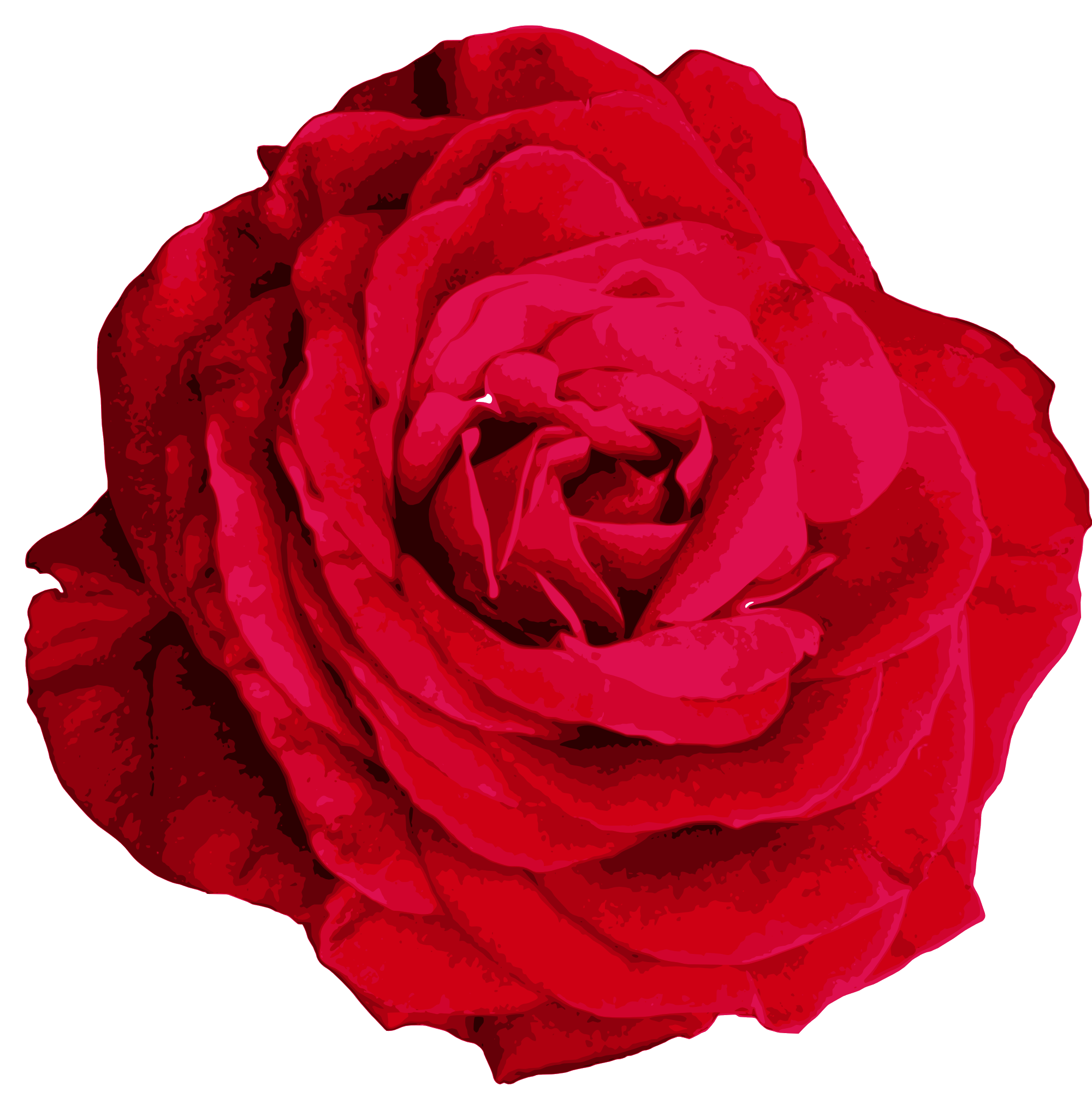 Sintético 99+ Foto Petalos De Rosa Roja Png Alta Definición Completa ...
