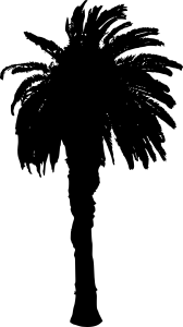 palm-tree-10