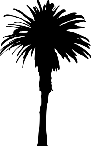 palm-tree-11
