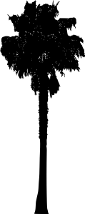 palm-tree-12