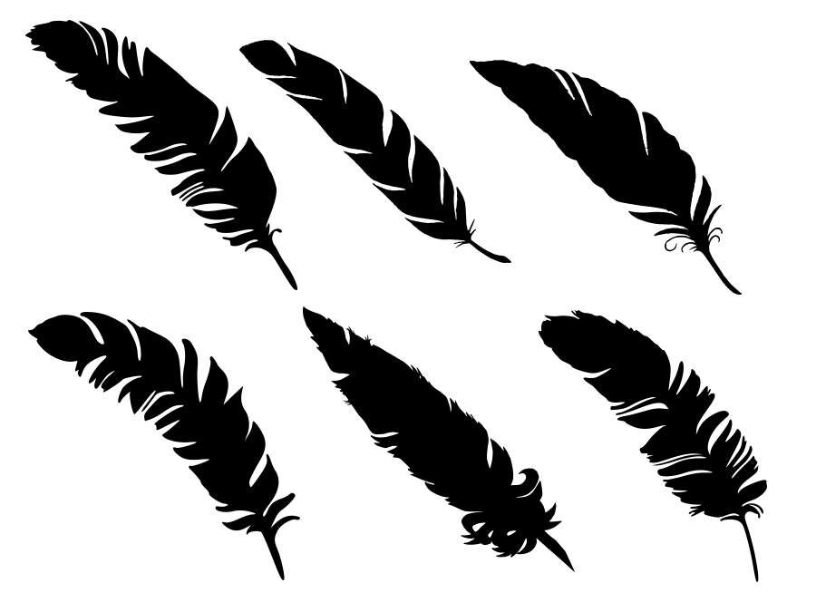 6 Simple Feather Silhouettes (PNG Transparent) | OnlyGFX.com