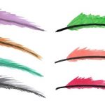 7 Watercolor Feathers (PNG Transparent)