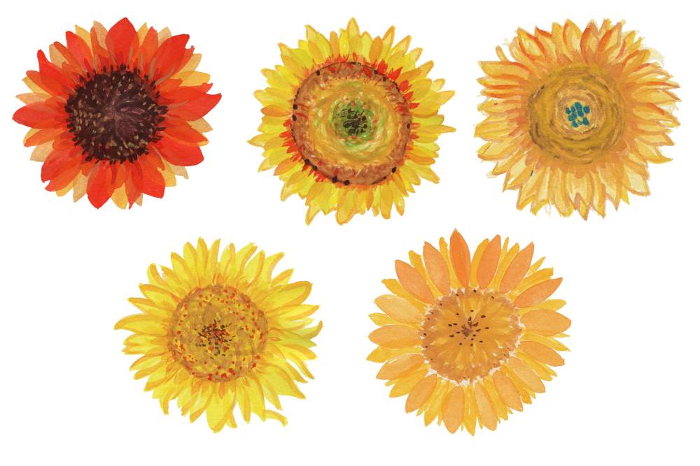 Free Free Realistic Transparent Watercolour Sunflower Svg SVG PNG EPS DXF File