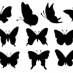 10 Butterfly Silhouette (PNG Transparent)