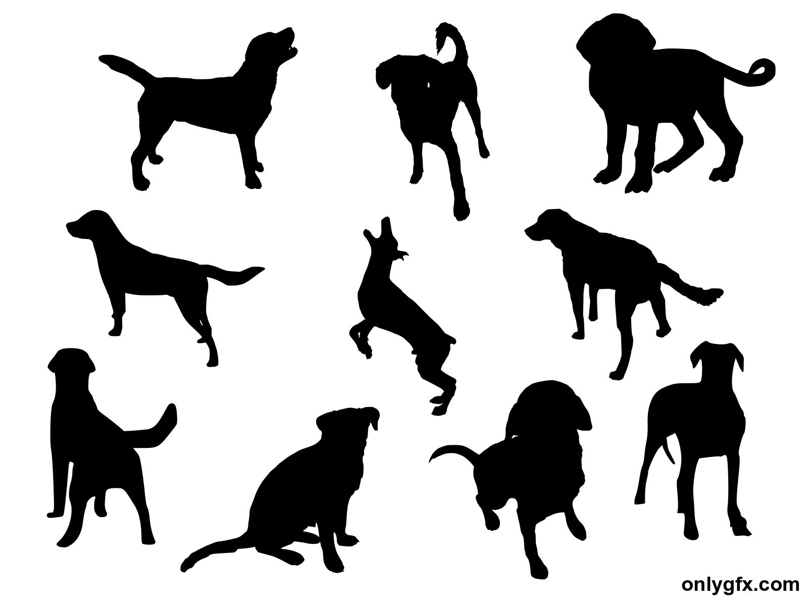 10 Dog Silhouette (PNG Transparent) 