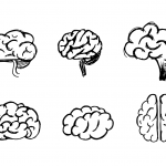 6 Brain Drawing (PNG Transparent)