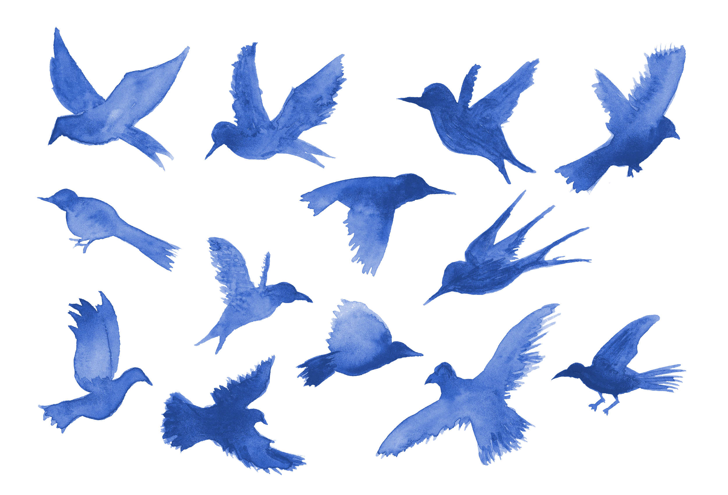 13-watercolor-bird-silhouette-cover.jpg