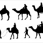 5 Camel Rider Silhouette (PNG Transparent)