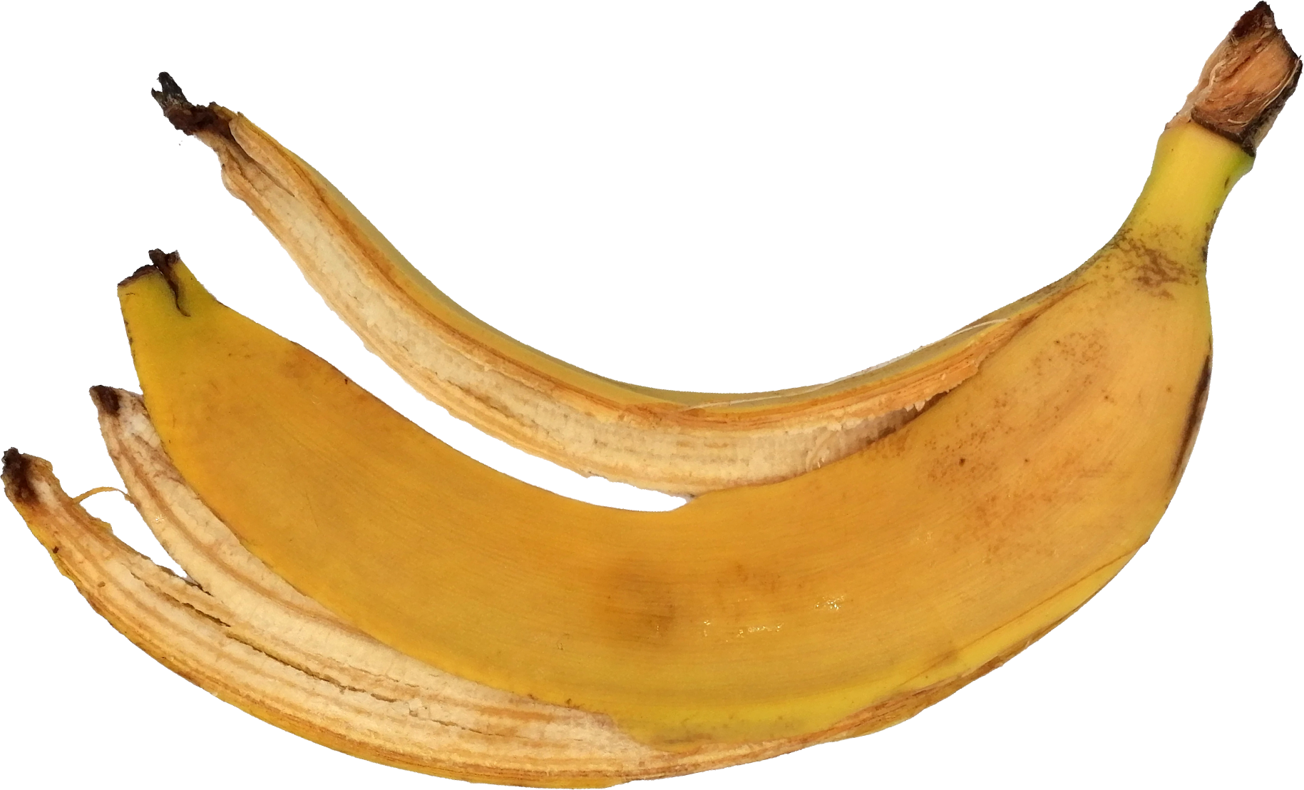 banana-3.png