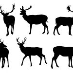 Deer Silhouette (PNG Transparent)