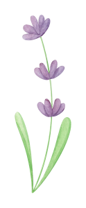 watercolor-lavender-1.png
