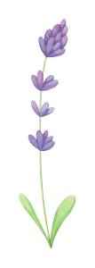 watercolor-lavender-4.png