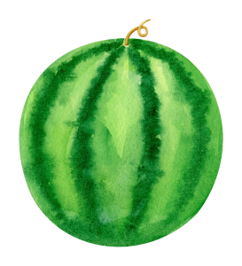 watercolor-watermelon-1.png