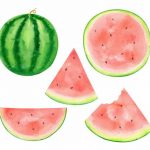 Watercolor Watermelon (PNG Transparent)