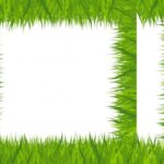 Grass Frame (PNG Transparent)