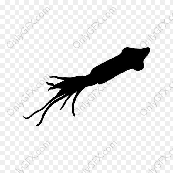 squid-silhouette-2.png