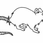 Angry Mouse Drawing PNG Transparent SVG Vector