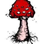 Cartoon Mushroom Drawing PNG Transparent