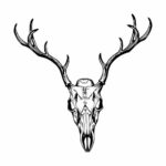 Deer Skull PNG Transparent SVG Vector