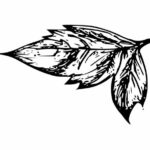 Leaf Drawing PNG Transparent SVG Vector