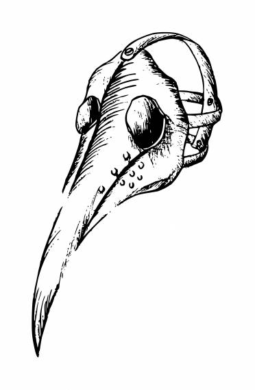 Plague Doctor Mask PNG Transparent SVG Vector