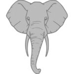 Elephant Head Clipart PNG Transparent