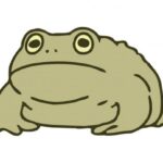 Large Toad Clipart PNG Transparent