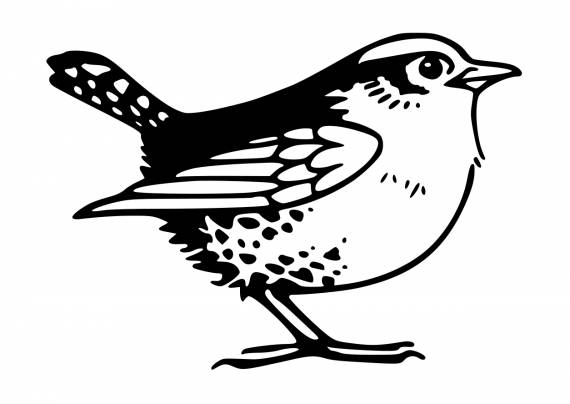 Little Bird Drawing PNG Transparent SVG Vector