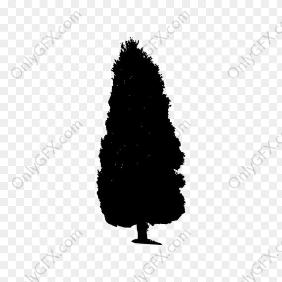 Cypress Tree Silhouette (PNG Transparent)