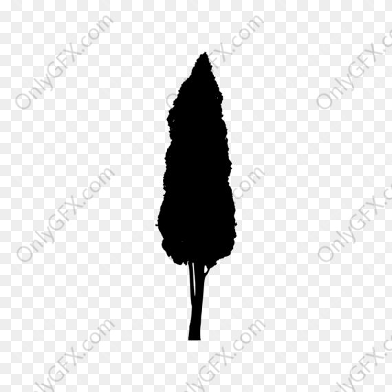 Cypress Tree Silhouette (PNG Transparent)