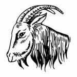 Goat Head Drawing PNG Transparent SVG Vector