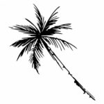 Palm Tree Tattoo PNG Transparent SVG Vector