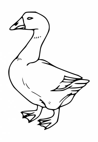 Duck Small Tattoo PNG Transparent SVG Vector