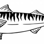 Fish Tattoo PNG Transparent SVG Vector
