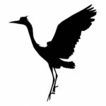 Grey Heron Bird Silhouette PNG Transparent SVG Vector