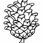 Pine Cone Tattoo PNG Transparent SVG Vector
