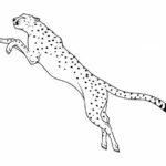 Cheetah Tattoo PNG Transparent SVG Vector
