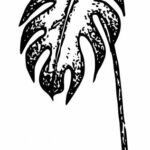 Monstera Leaf Dotted Tattoo PNG Transparent SVG Vector