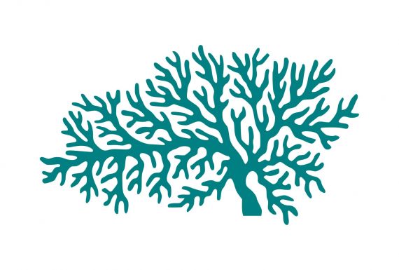 Tree Shaped Coral Silhouette PNG Transparent