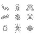 Bug Line Icons Vector (EPS, SVG)