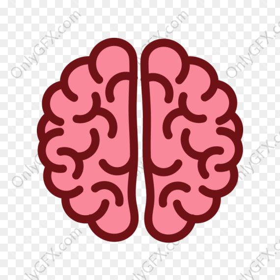 Brain Icon Vector (EPS, SVG, PNG Transparent)
