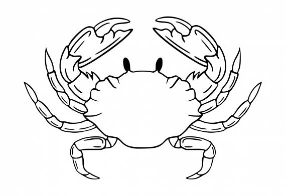 Crab Tattoo PNG Transparent SVG Vector