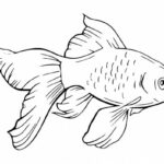 Goldfish Tattoo PNG Transparent SVG Vector