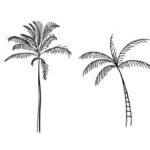 Simple Palm Tree Tattoo PNG Transparent SVG Vector
