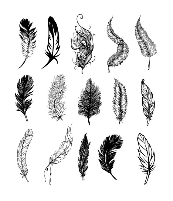 Feather Tattoo Vector (EPS, SVG)