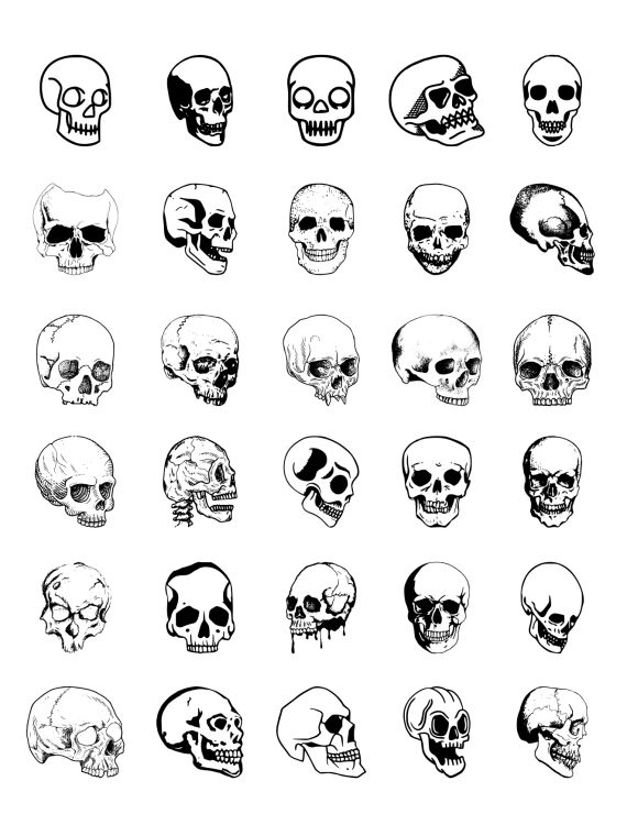 Human Skull Set Vector (EPS, SVG)